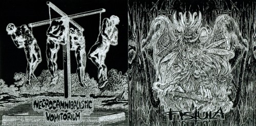 Free download Album Review Fistula - Necrocannibalistic Vomitorium - Split (2011)