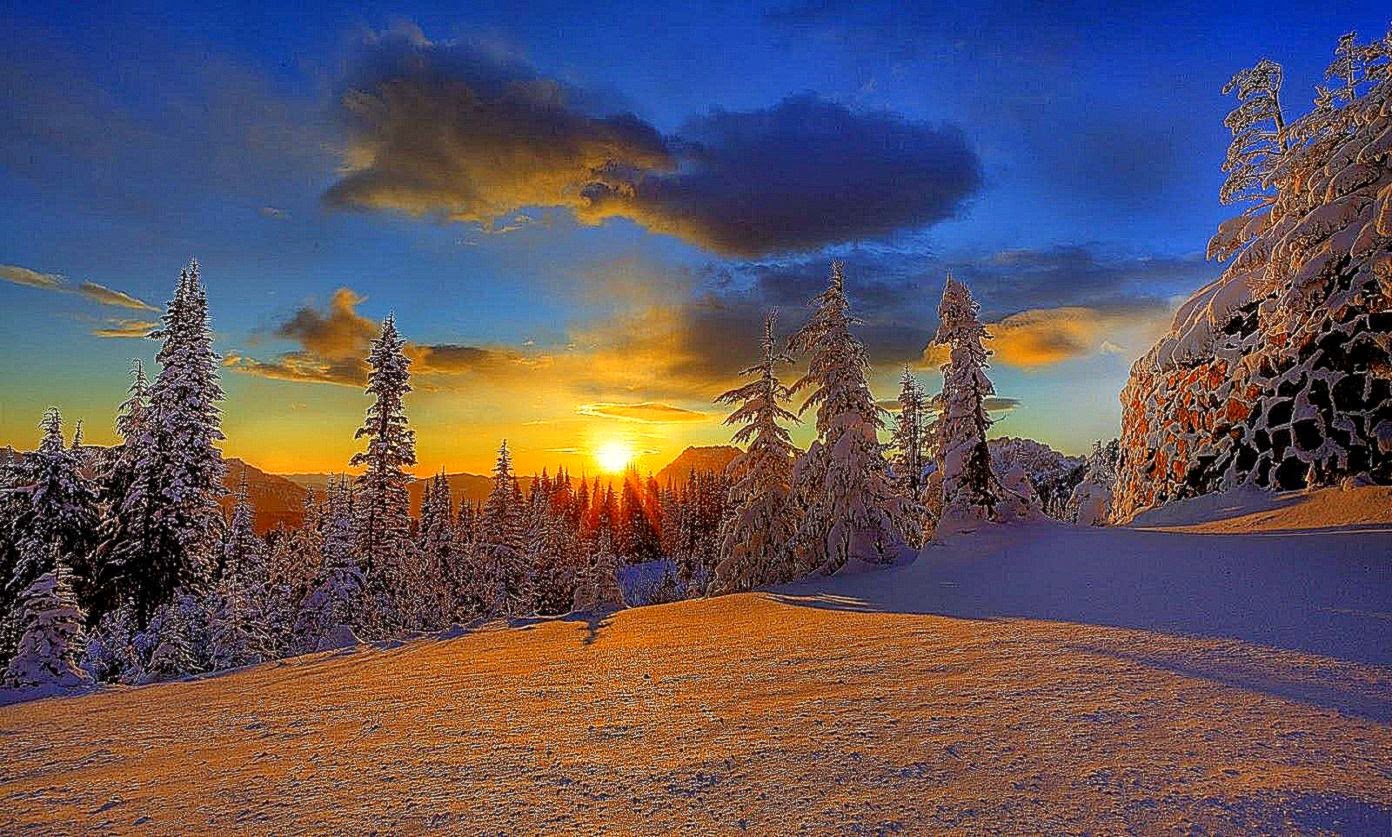 Forest winter sunset windows 8 desktop HD wallpapers 1920x1080 HD