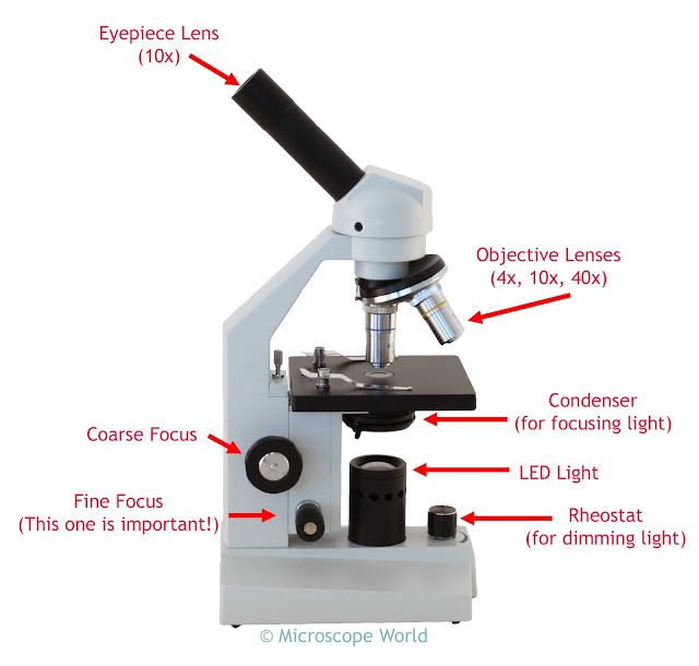 High school compound microscope HS-1M with detailed parts.