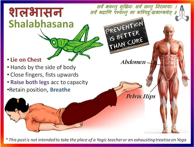 Yoga-Shalabhasana