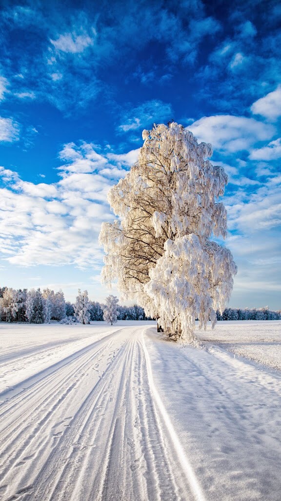iPhone and Android Wallpapers: 22 Winter Scenery iPhone Wallpapers