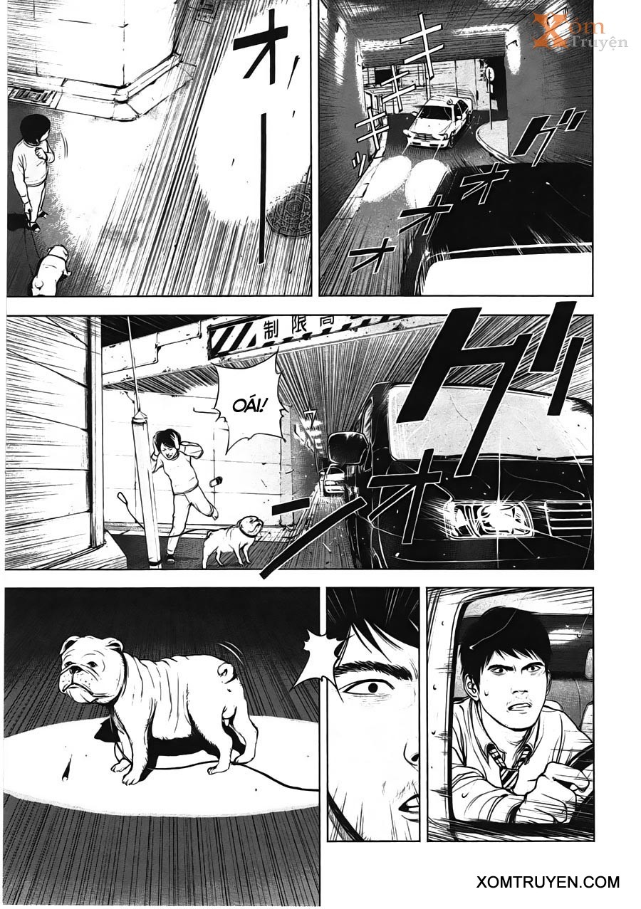 Museum chap 7