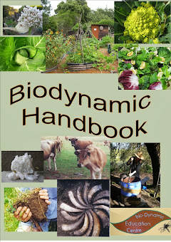 Introduction to the Biodynamic Methods
