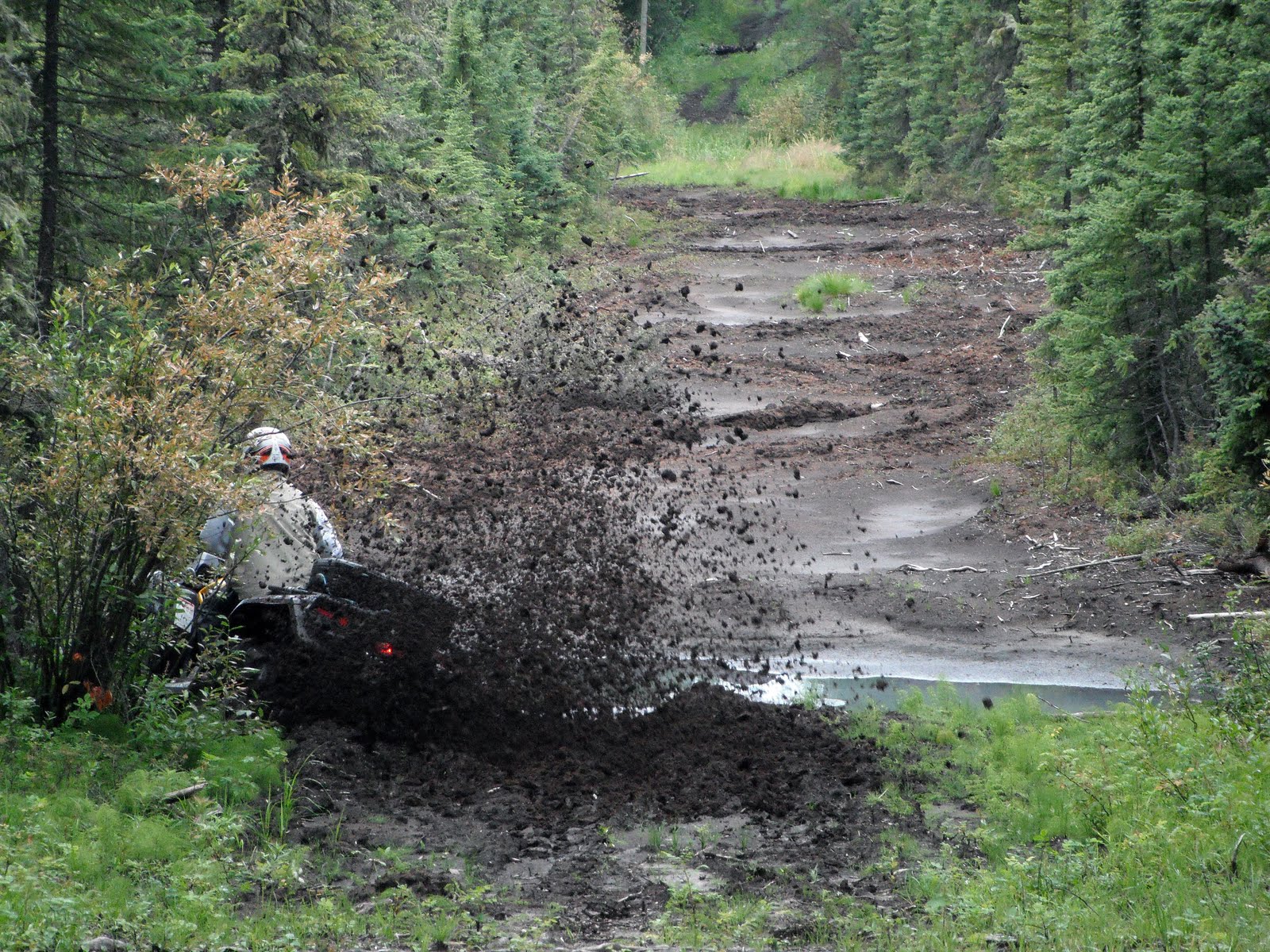 Picture This: Quading With Friends