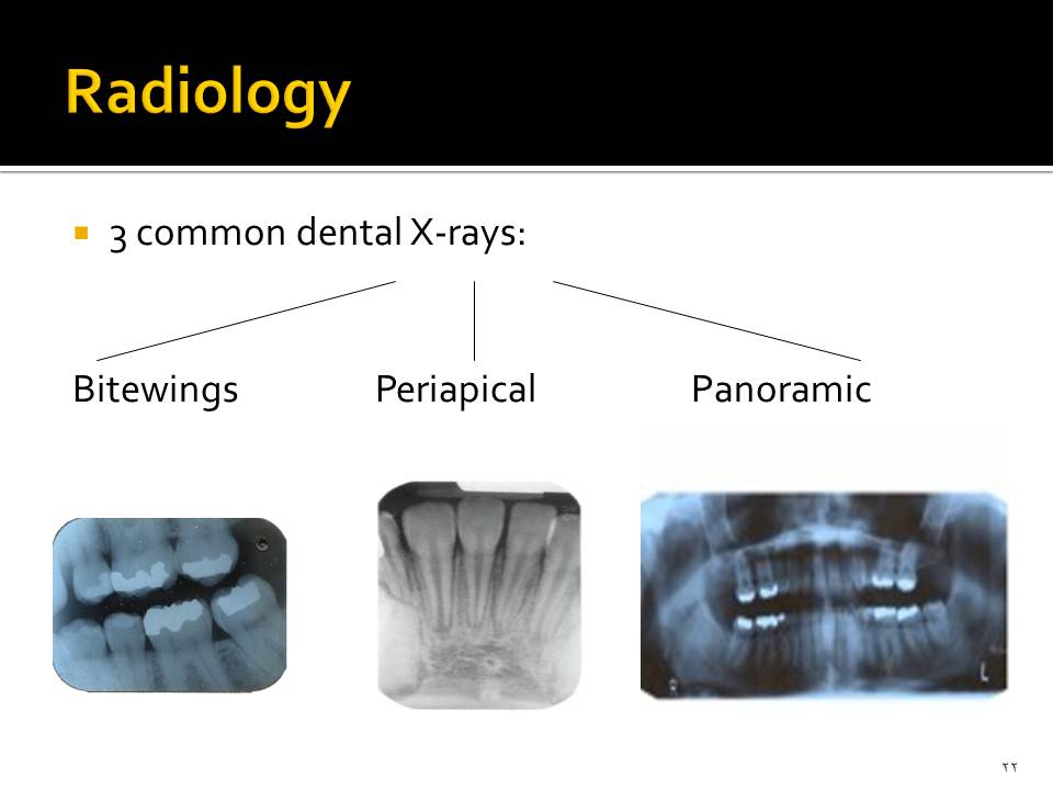 Dentistry Dental Radiology