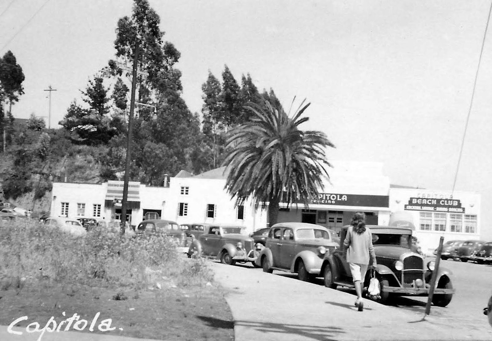 Forestdweller Capitola