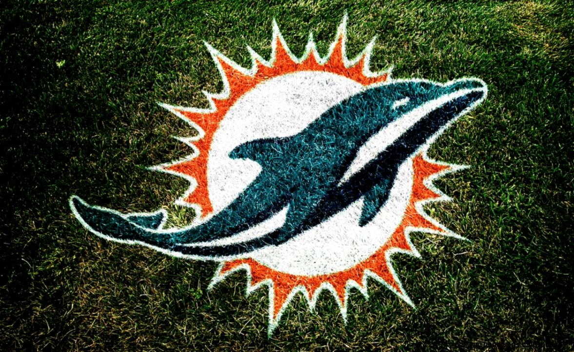 Miami Dolphins Wallpaper HD  Full HD Pictures
