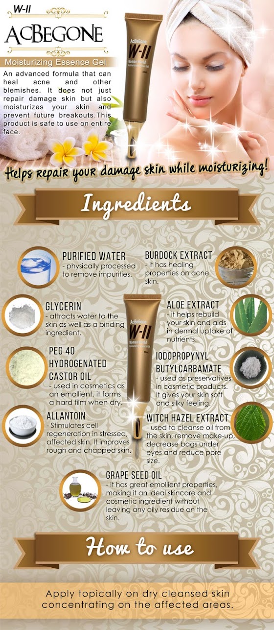 WII AcBeGone Set (P2,980)