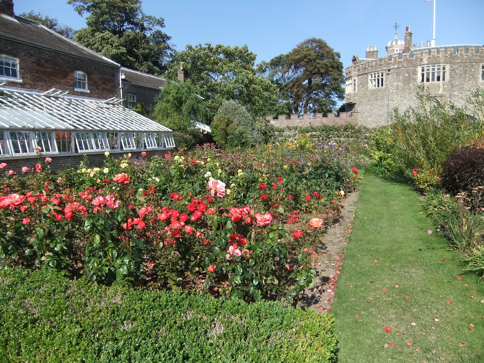 Ramblings from an English Garden Walmer Castle & Gardens, Kent Pt. 2