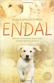 one dog story kickstarter one dog story kickstarter