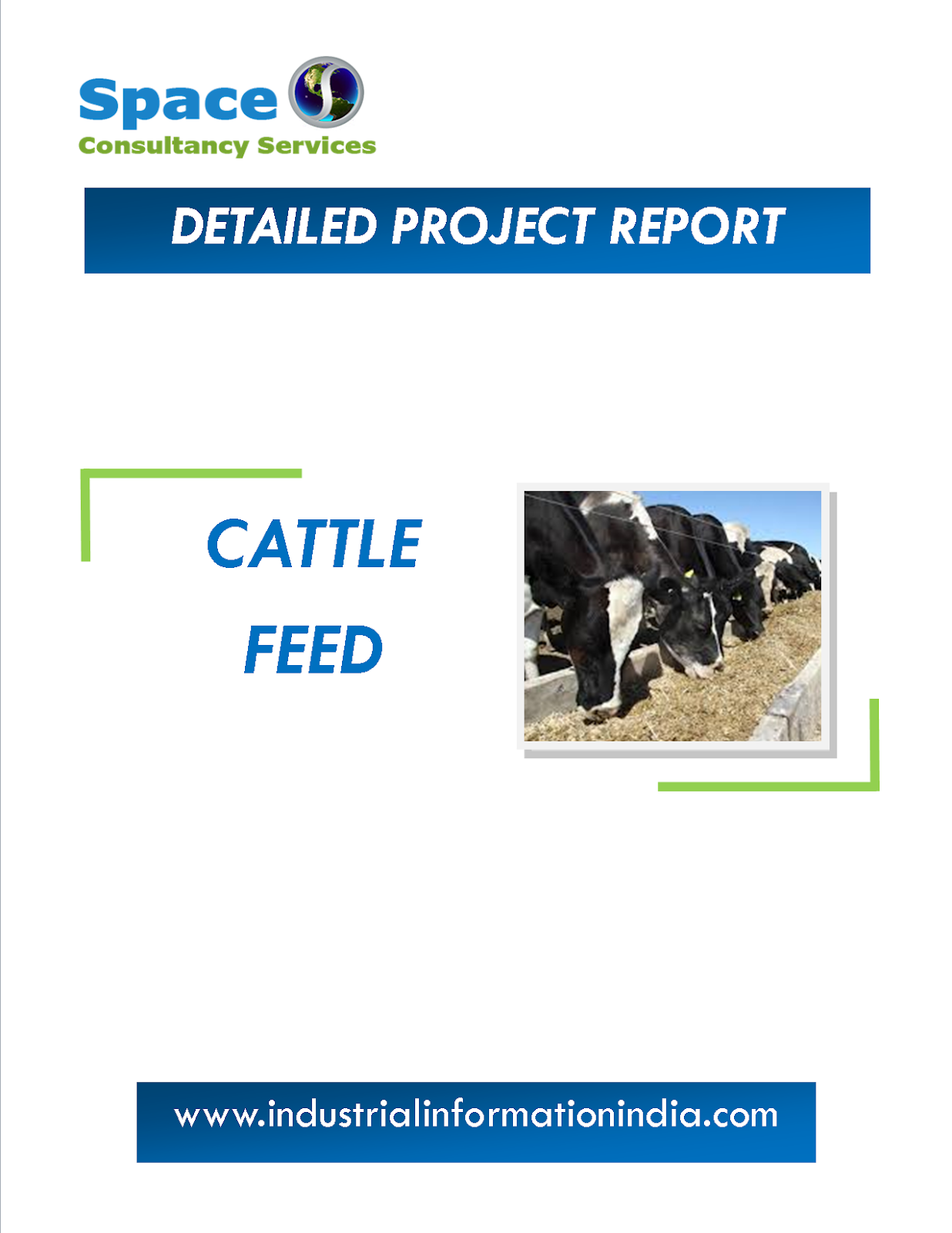 Cattle Feed Project Report Space Consultancy Services