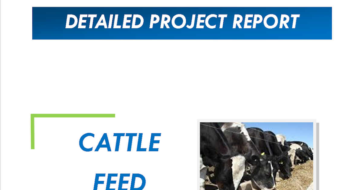 Cattle Feed Project Report Space Consultancy Services