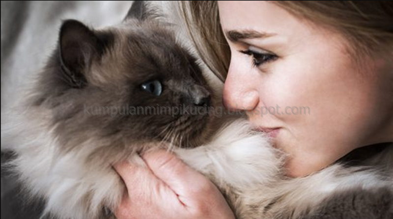 14+ Arti Mimpi Bisa Berbicara Dengan Kucing