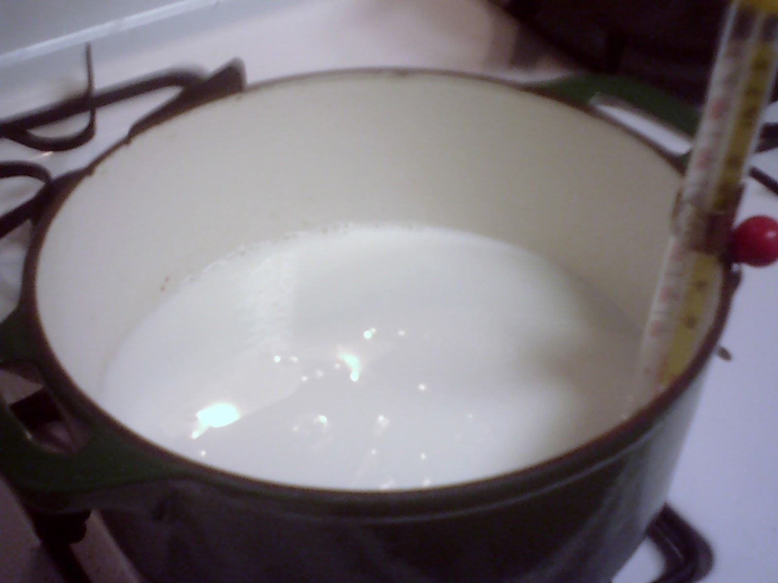 Notarealchef Yogurt experiment.