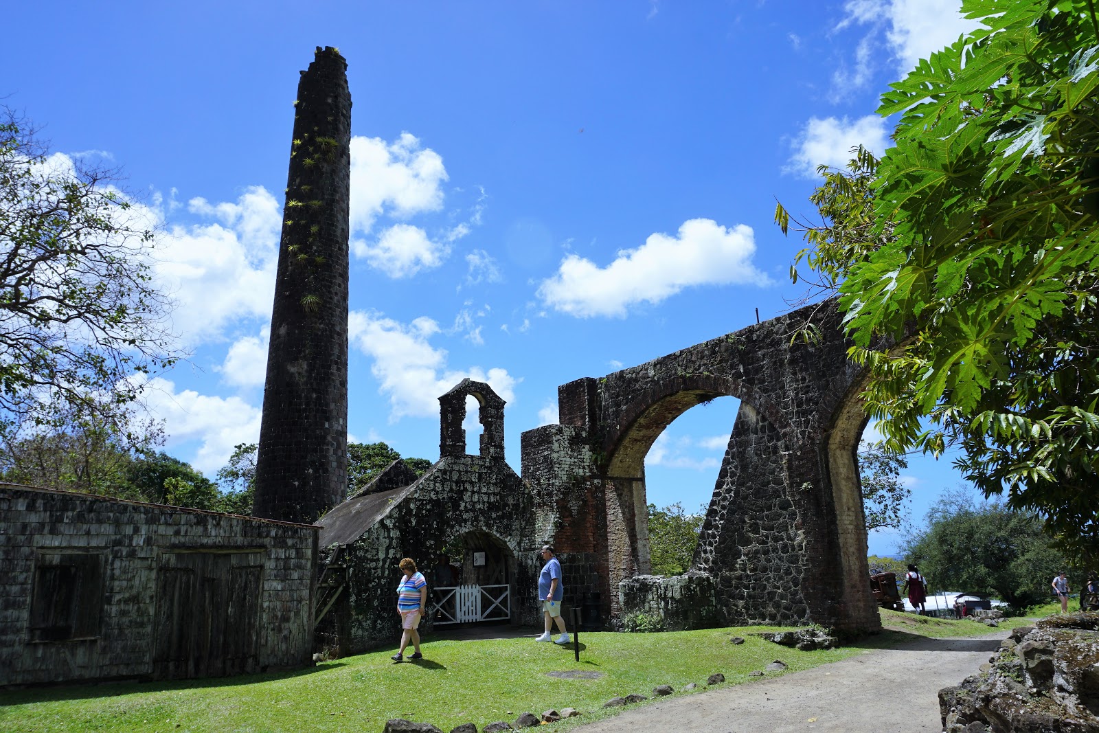 Souvenir Chronicles: ST. KITTS: ROMNEY MANOR, CARIBELLE BATIK, AND