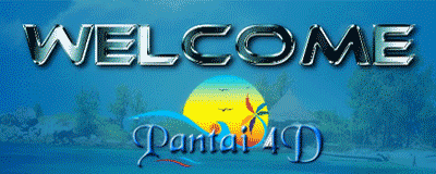 pantai4d