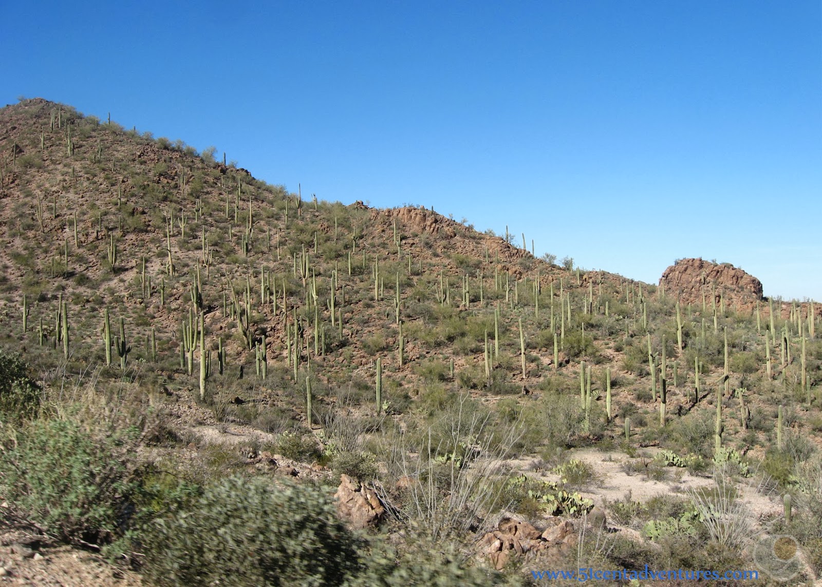 51 Cent Adventures: Saguaro National Park - West (Tucson Mountain District)