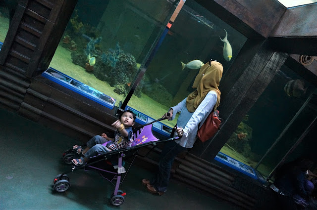 Visit Underwater World Langkawi & Shopping At The Zone On Last Day In Langkawi