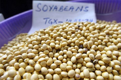 Brasil superará a EE.UU. como productor de soja