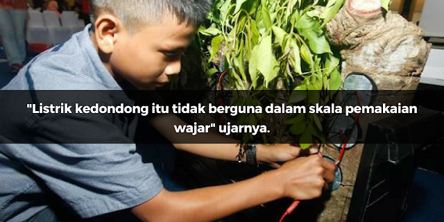 Mahasiswa Alumni UGM ini Skeptis dengan Penemuan Listrik dari Pohon Kedondong Mahasiswa Alumni UGM ini Skeptis dengan Penemuan Listrik dari Pohon Kedondong