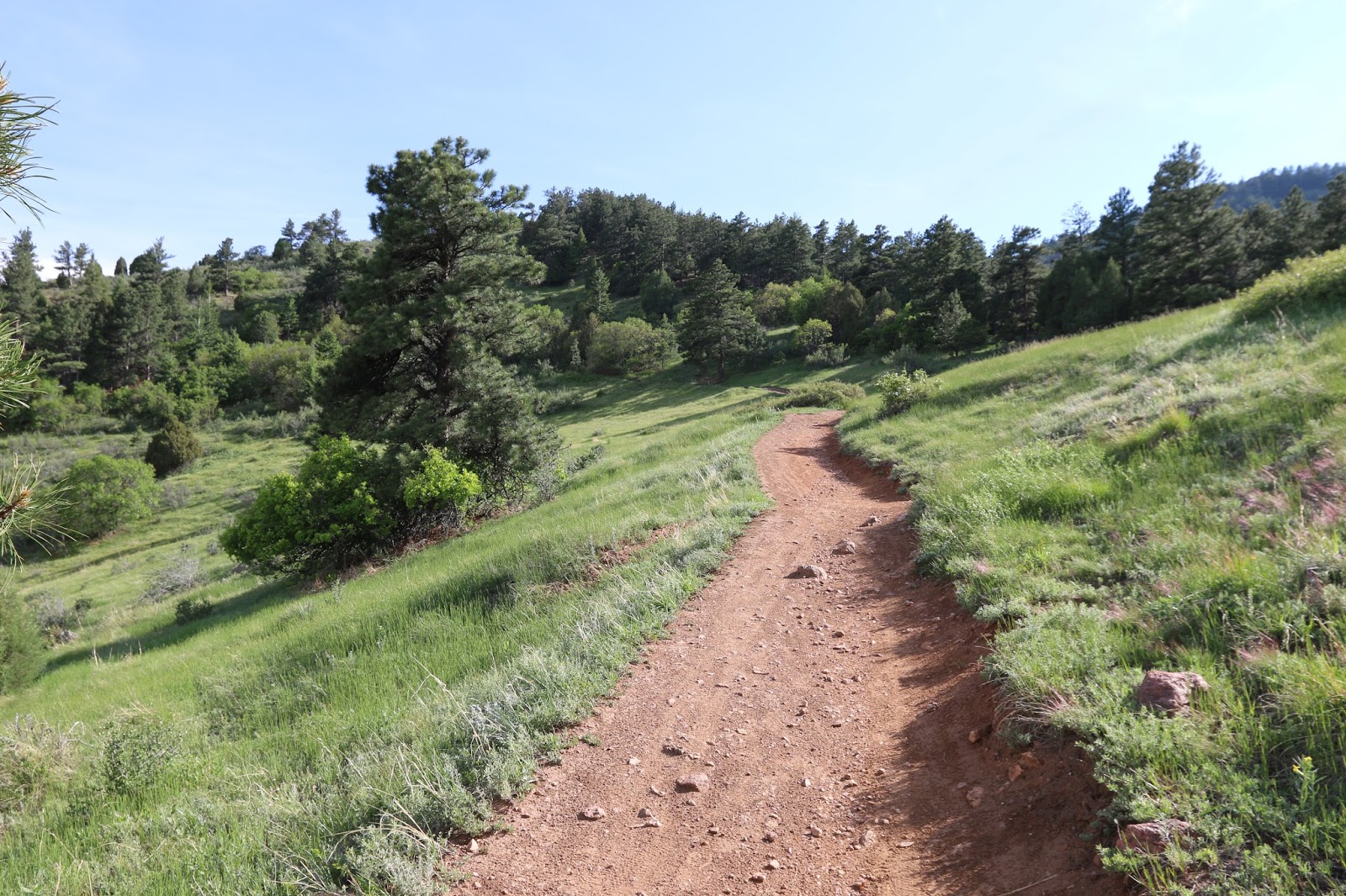 Mount Falcon Park (10)