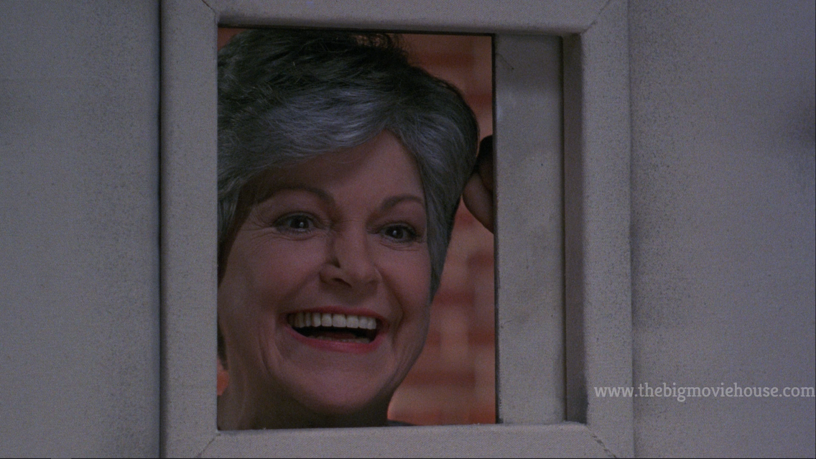 Basket Case 3 The Progeny (Synapse Films) Bluray Review + Screenshots