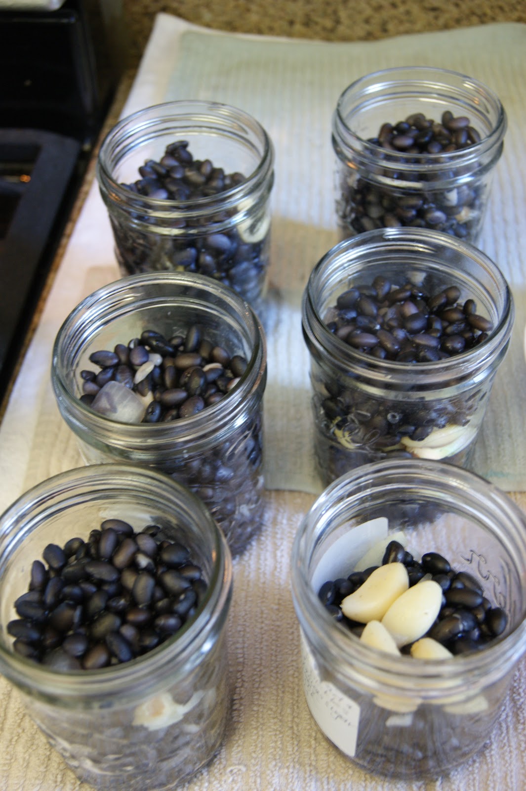 Canarella Once Upon a Jam Pressure Canning Black Beans