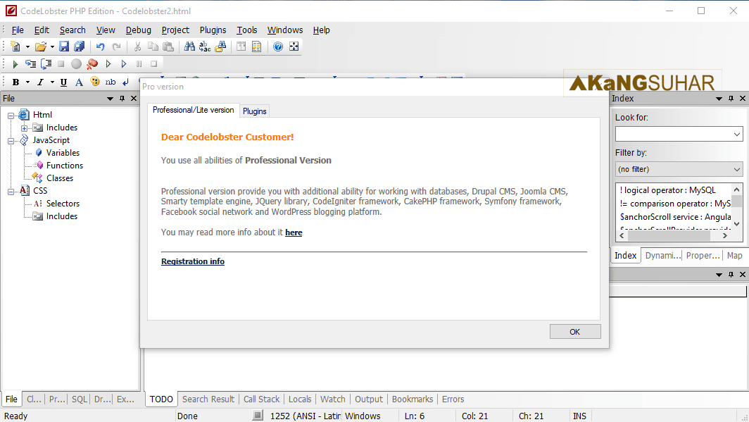 Codelobster php edition pro serial key Codelobster php edition pro serial key