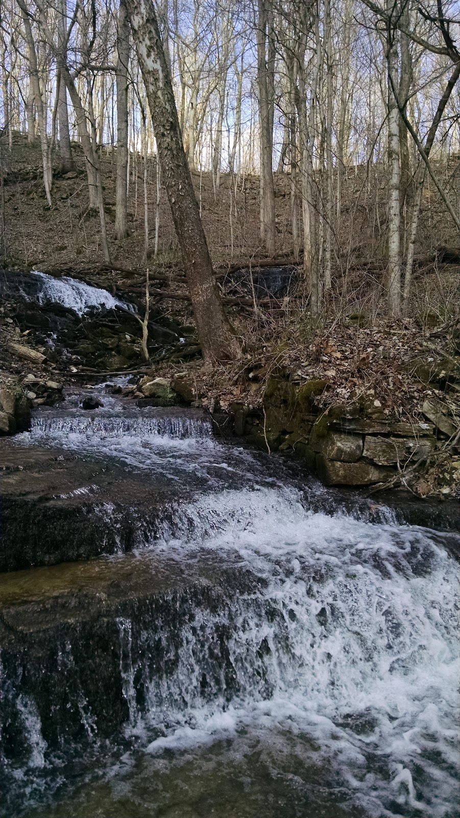 Bloomington, IN Leonard Springs Nature Park Explore This City