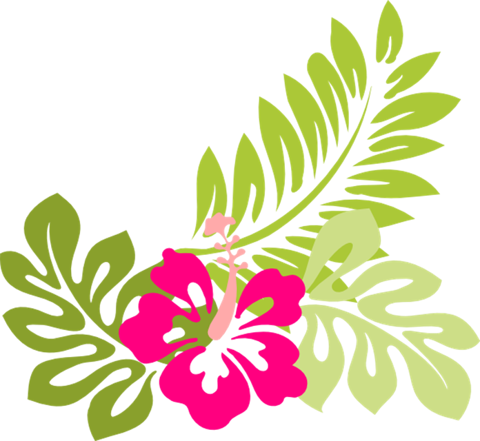 free clip art hawaiian flowers - photo #1