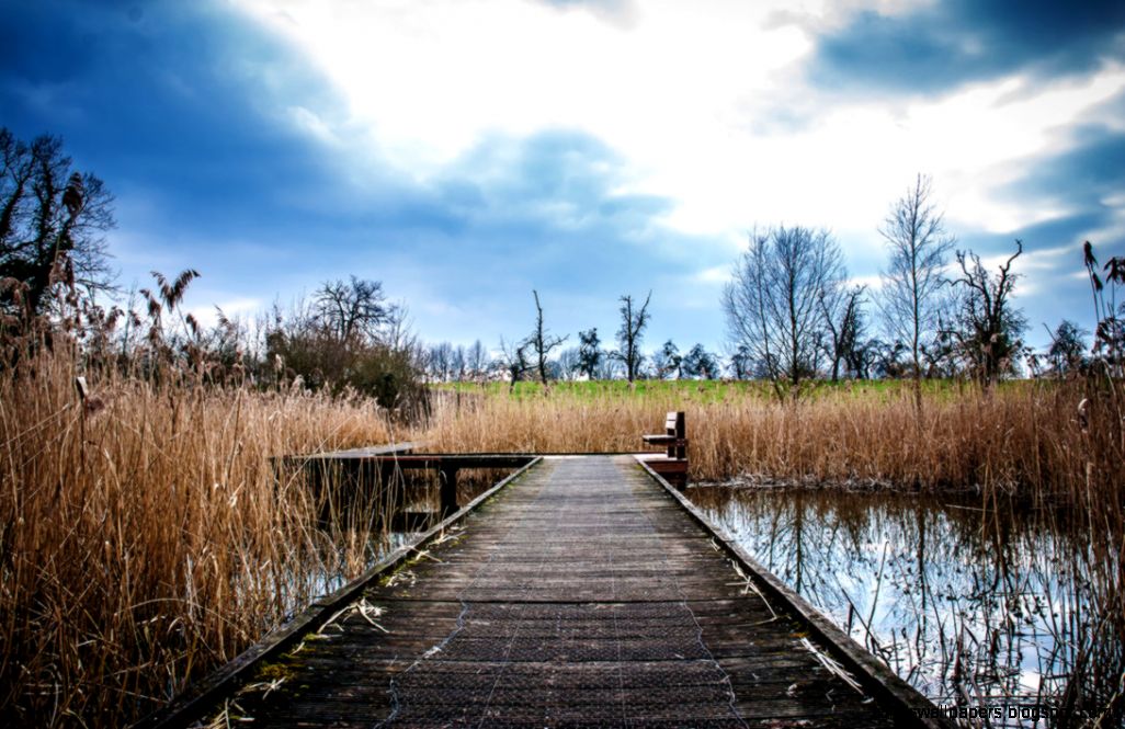 Nice Scenery wallpaper by 360 GRAPHICS on DeviantArt