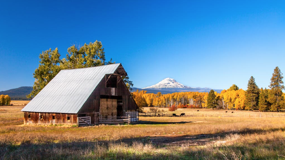 Glenwood Washington HAPPY 100TH BIRTHDAY TO THE FRANK MURRAY BARN