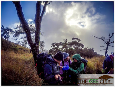 Grassland in Mt. Pulag