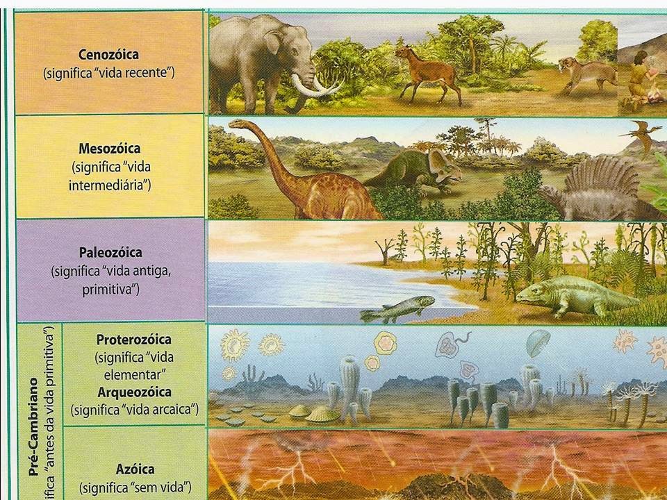 Las Eras Geologicas Del Planeta Tierra Primeros Seres Vivos Organicos ...