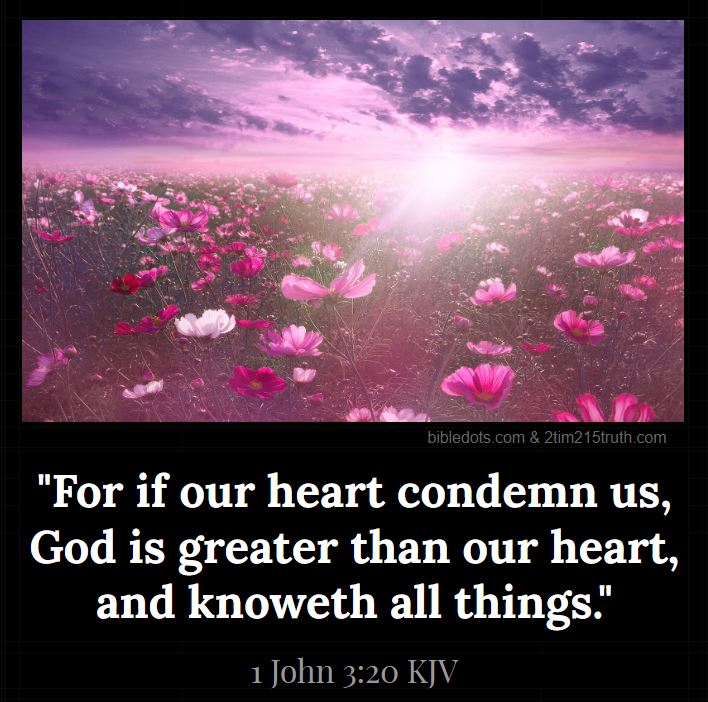 2-timothy-2-15-truth-verse-of-the-day-1-john-3-20-kjv