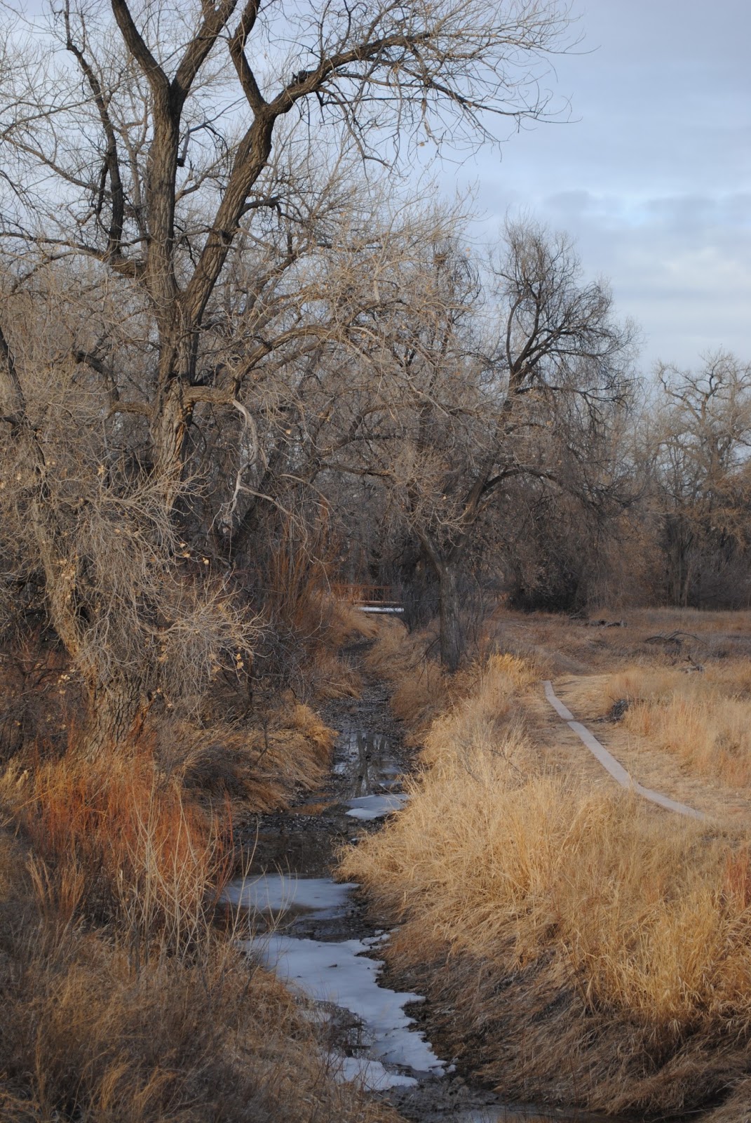 Red Fox Meadows Natural Area