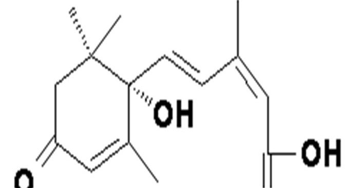 Agrihortieducation.com: Abscisic Acid (ABA)