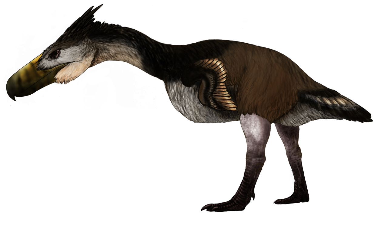 На рисунке изображена реконструкция фороракоса крупной. Титанис Гасторнис. Келенкен птица. Келенкен динозавр. Доисторическая птица фороракос.