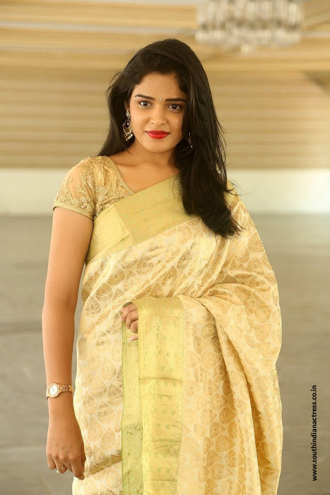 Harshita at Silk India Expo 2017 Launch