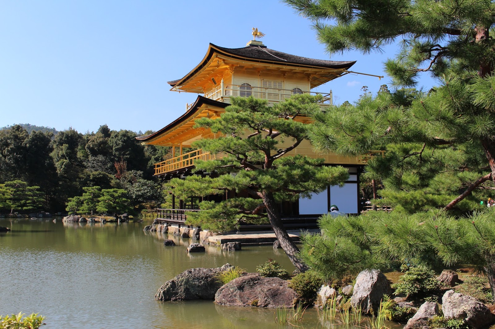 Armand's Rancho Del Cielo Kinkakuji Main Hall