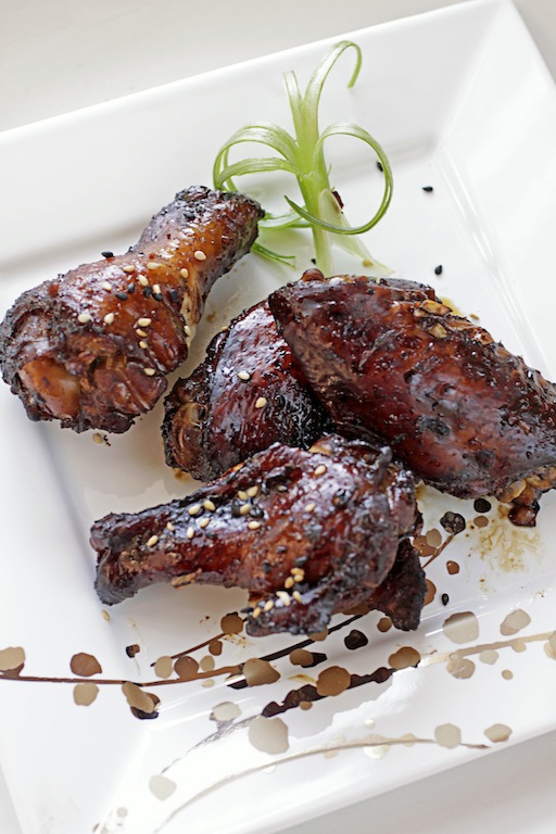 There's a Newf in My Soup! Coronado Concert in the Park Fusion