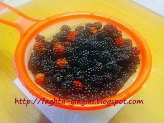 Τα φαγητά της γιαγιάς - Λικέρ βατόμουρο (blackberry)