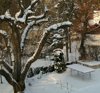 Vogelzählung am Ammersee Blick in einen verschneiten Garten