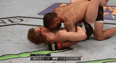 3.gif