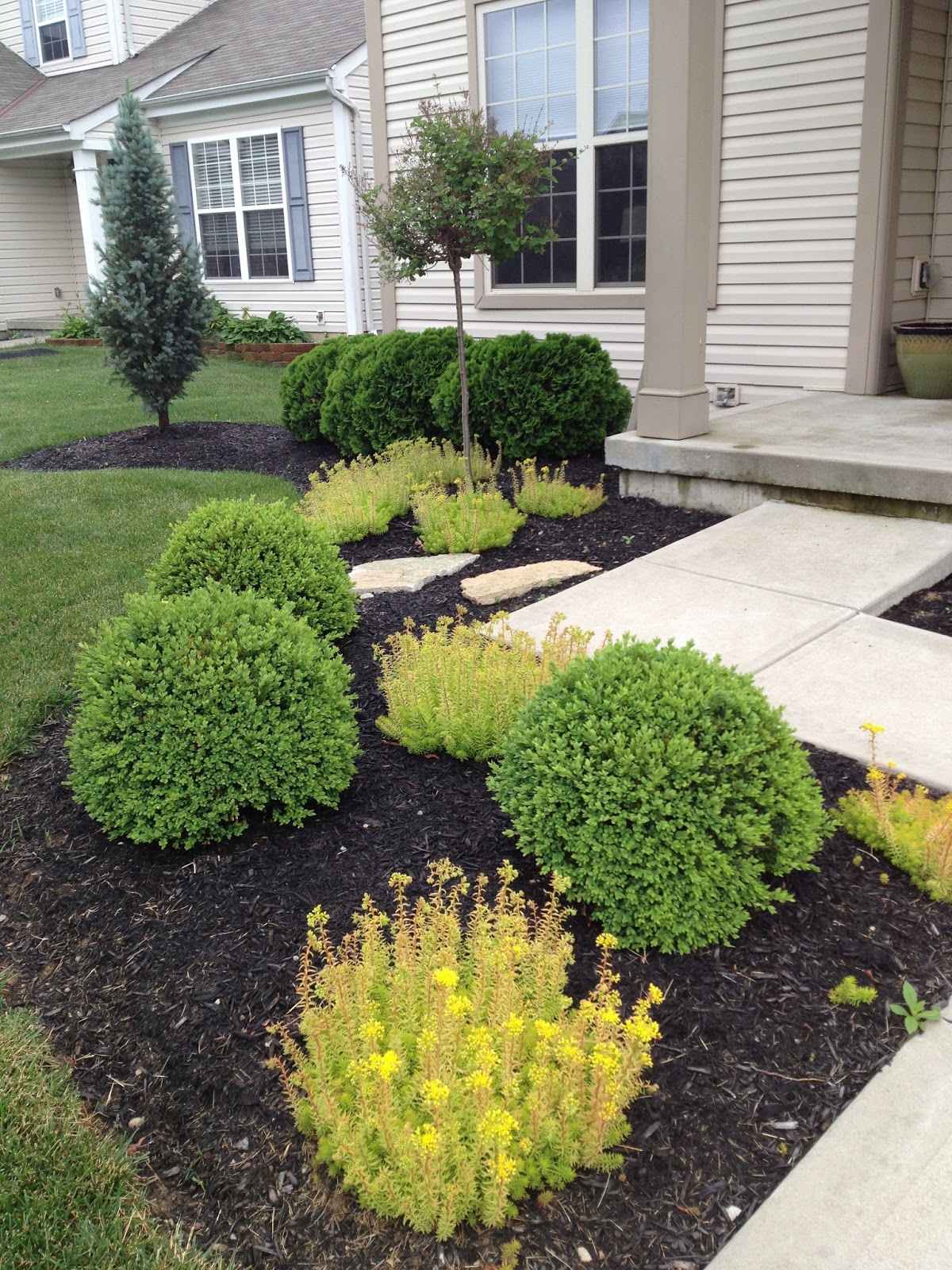 MY LIFE BY DESIGN: landscaping update: the front yard...