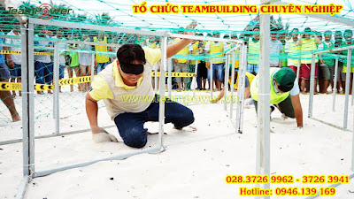 to-chuc-team-building-chuyen-nghiep