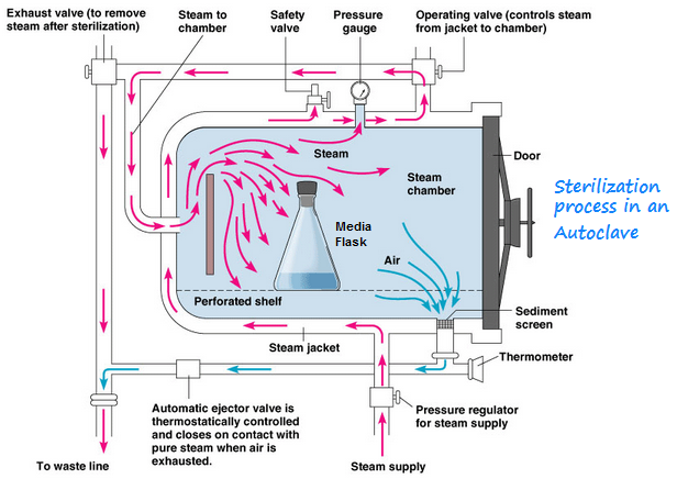 Sterilization flow chart
