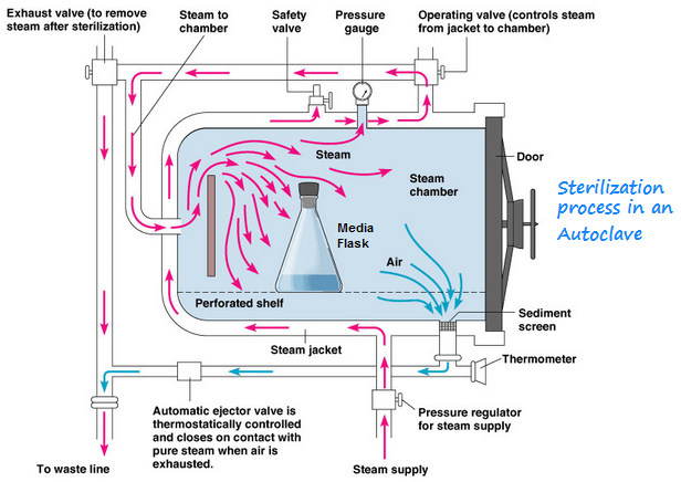 Autoclave Time Temperature Chart