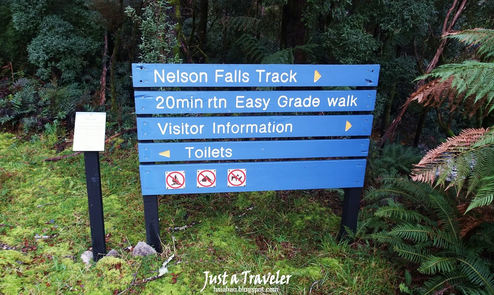 塔斯馬尼亞-西部-景點-推薦-Nelson-Falls-旅遊-自由行-澳洲-Tasmania-West-Tourist-Attraction-Travel-Australia