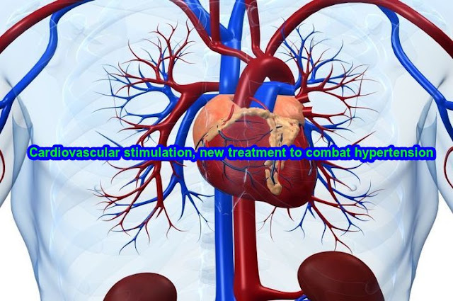 Cardiovascular stimulation, new treatment to combat Hypertension